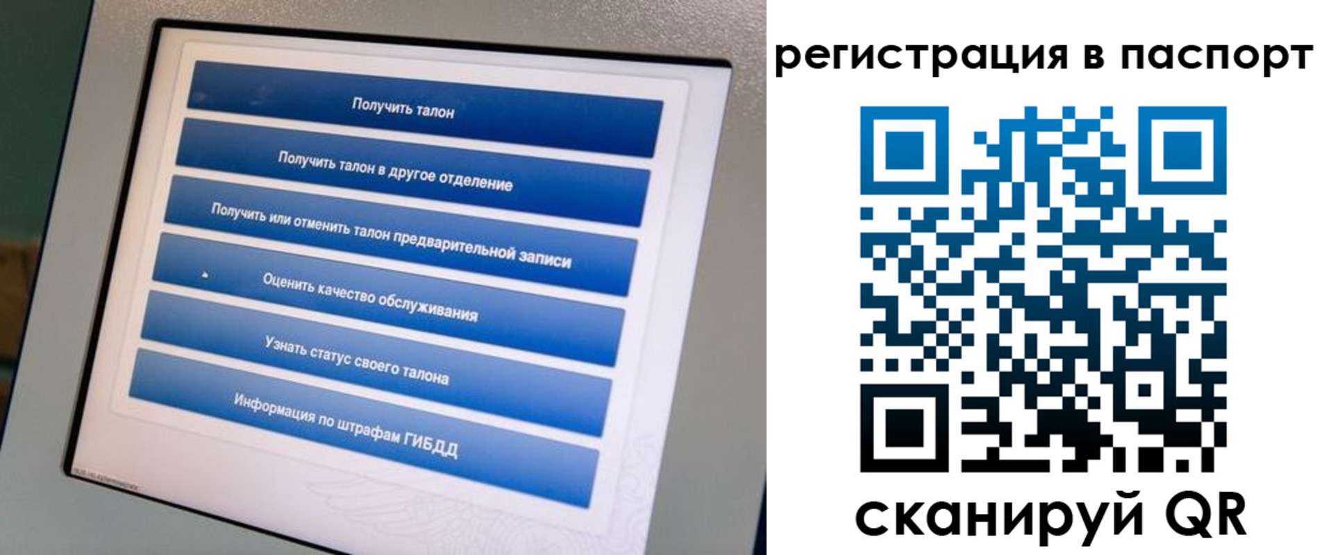 временная регистрация адрес в Волхове